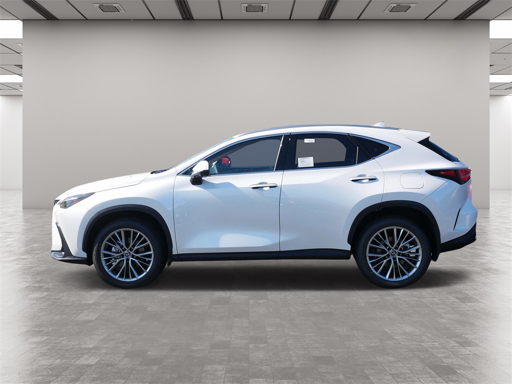 2025 Lexus NX 350h Premium 3