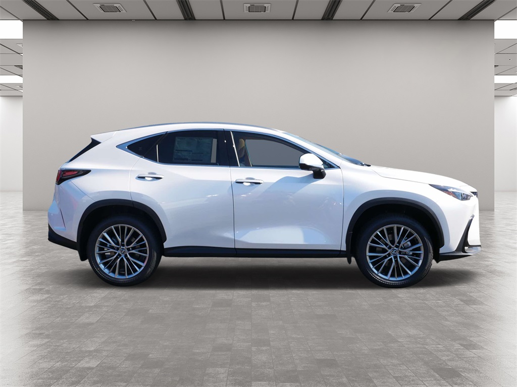 2025 Lexus NX 350h Premium 6