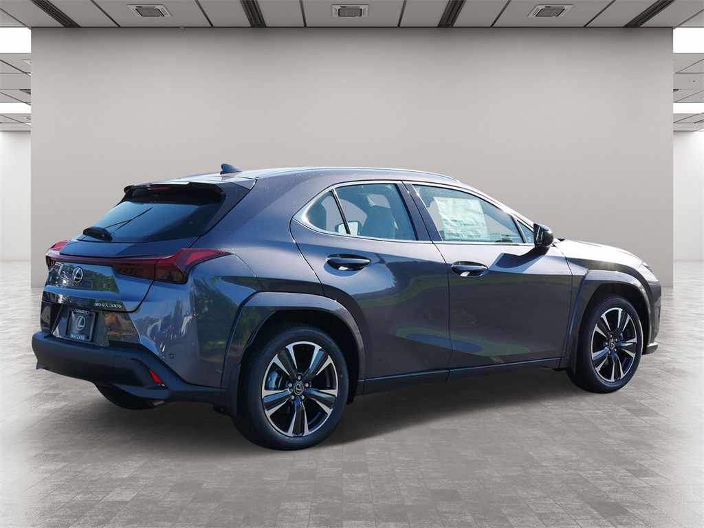 2025 Lexus UX 300h Premium 5