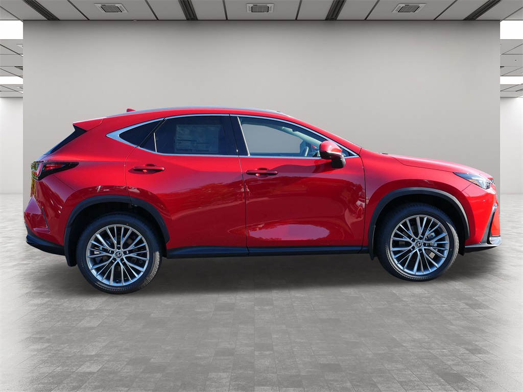 2025 Lexus NX 350h Premium 6