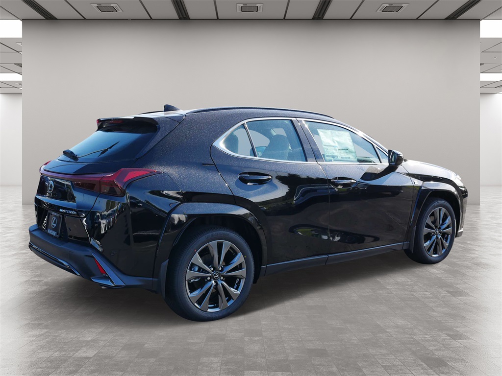 2025 Lexus UX 300h F SPORT Design 5