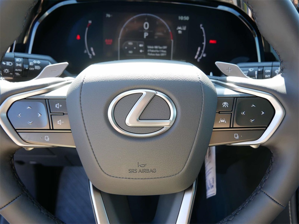 2025 Lexus NX 350 Luxury 17