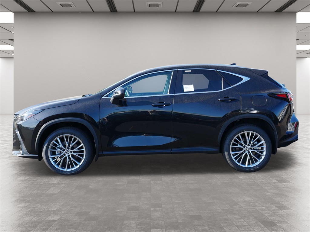 2025 Lexus NX 350 Premium 3