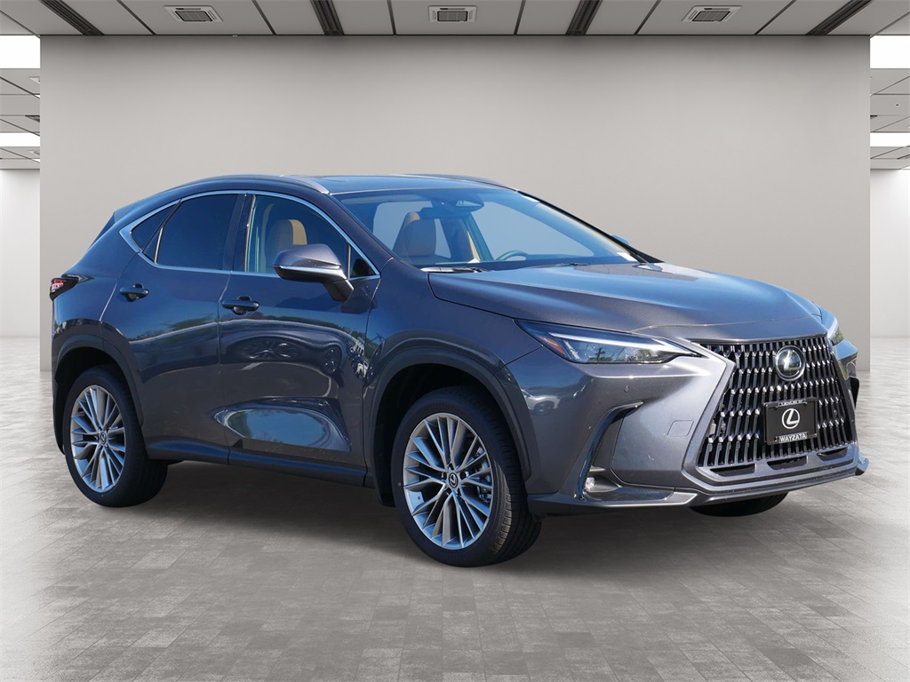 2025 Lexus NX 350h Premium 1