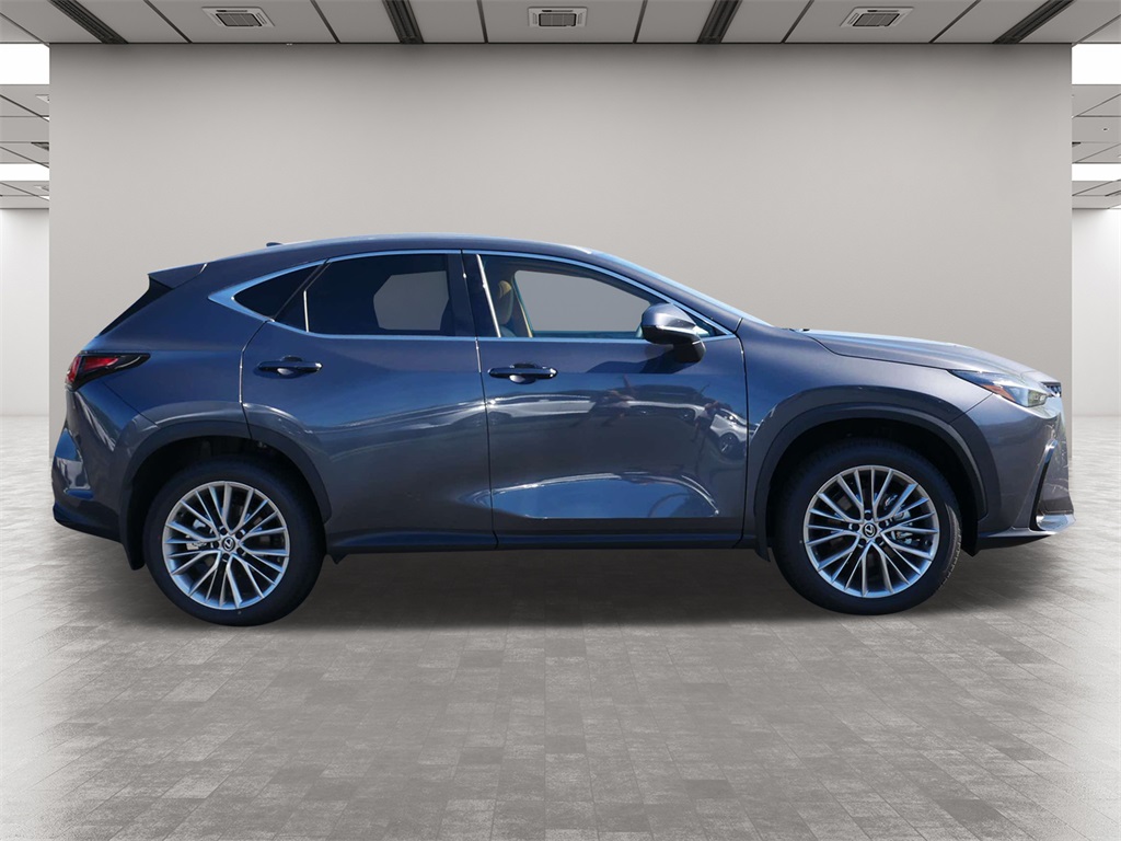 2025 Lexus NX 350h Premium 6