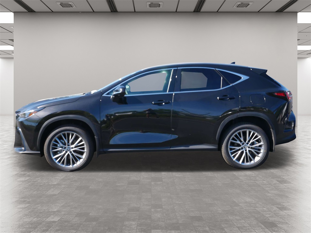 2025 Lexus NX 350h Premium 3