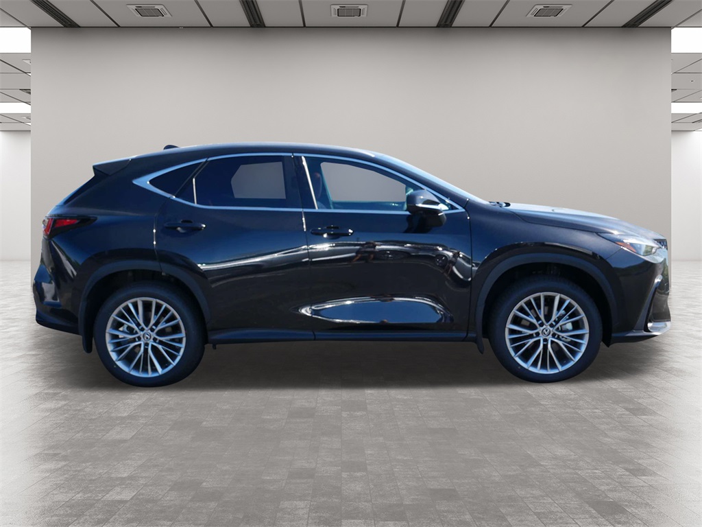 2025 Lexus NX 350h Premium 6