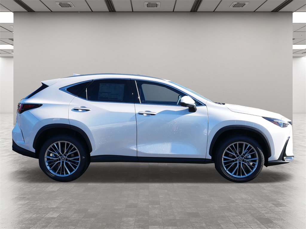 2025 Lexus NX 350h Premium 6