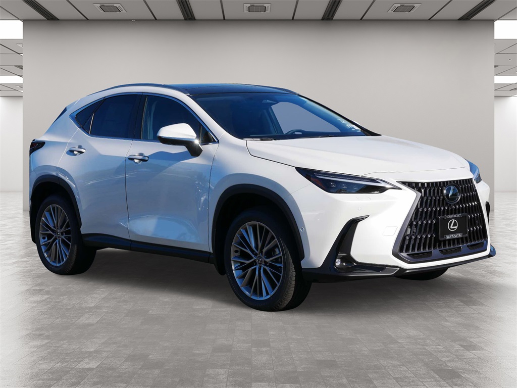 2025 Lexus NX 350h Luxury 1