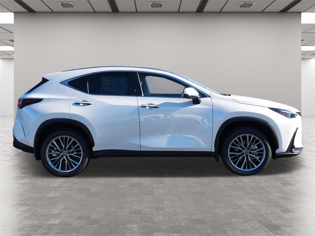 2025 Lexus NX 350h Luxury 6