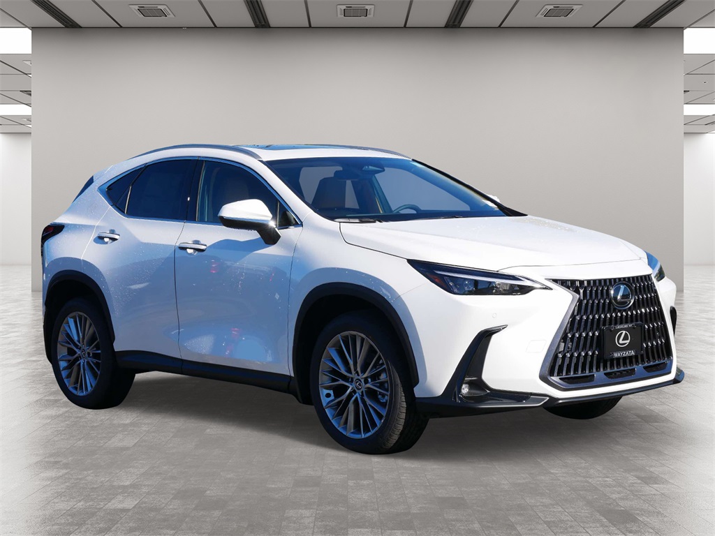 2025 Lexus NX 350 Premium 1