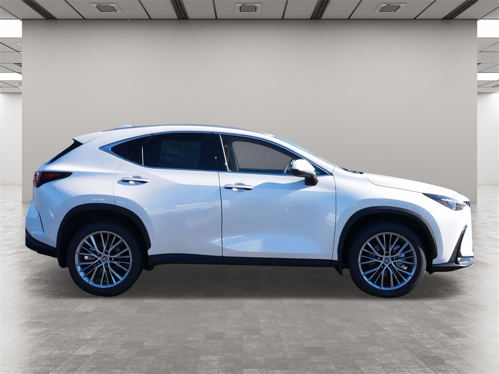 2025 Lexus NX 350 Premium 6