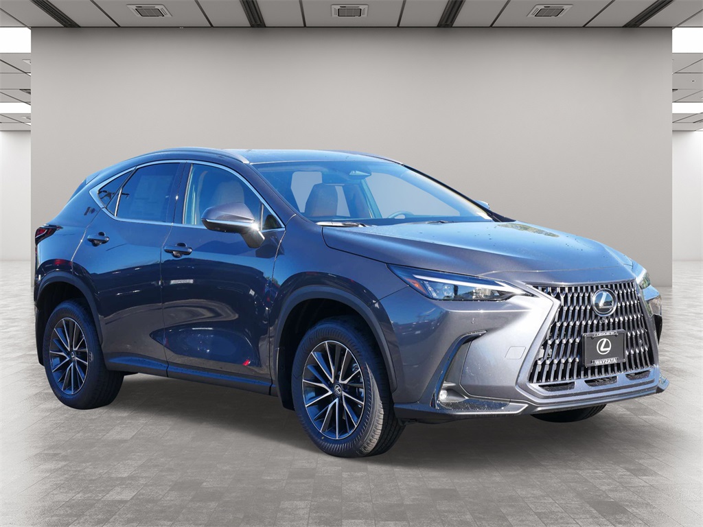 2025 Lexus NX 350 Premium 1