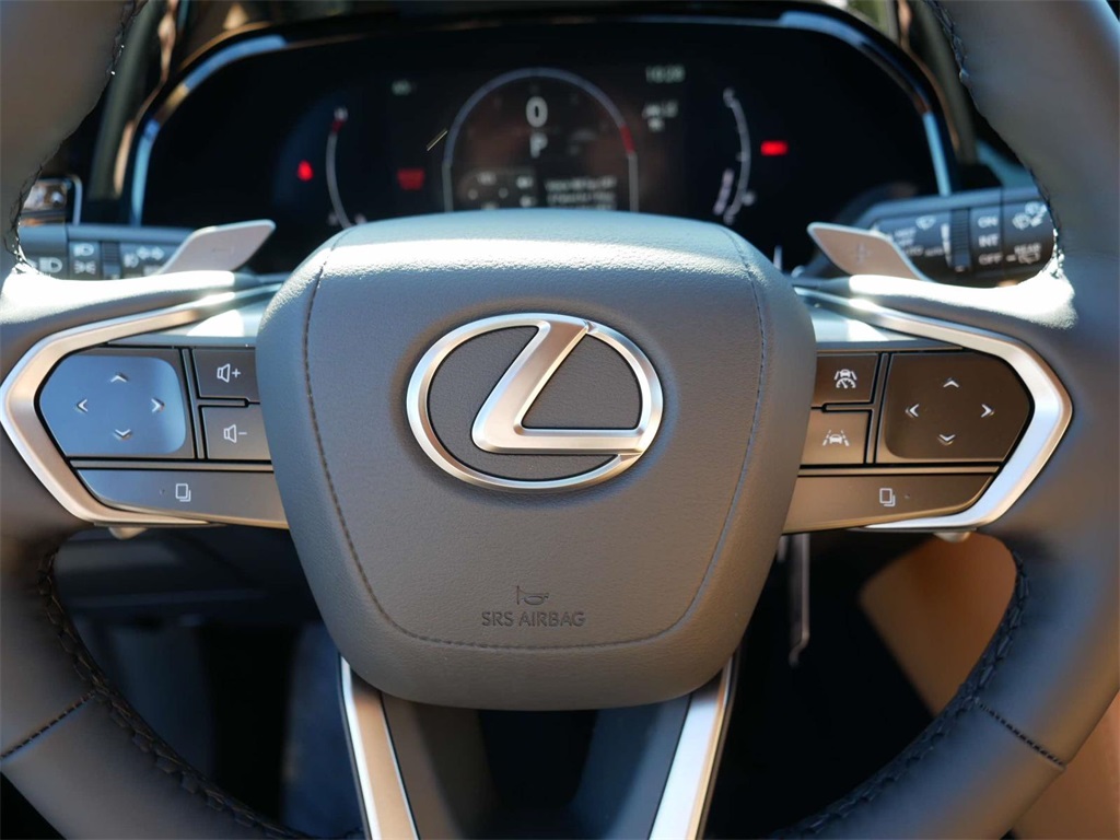 2025 Lexus NX 350 Premium 17