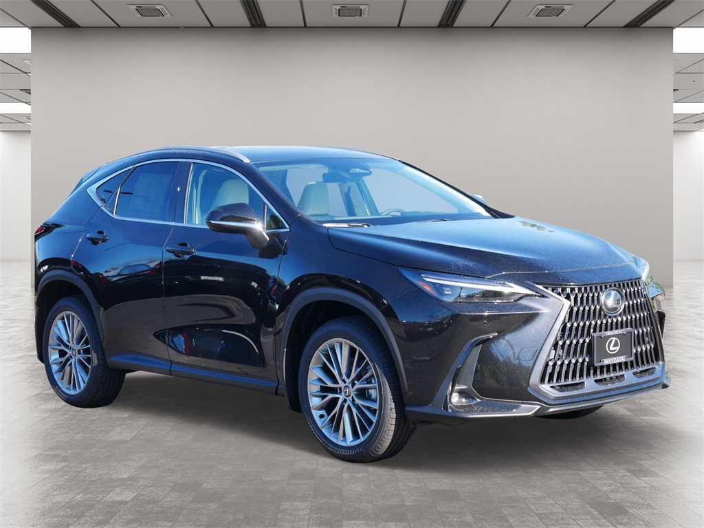 2025 Lexus NX 350 Luxury 1