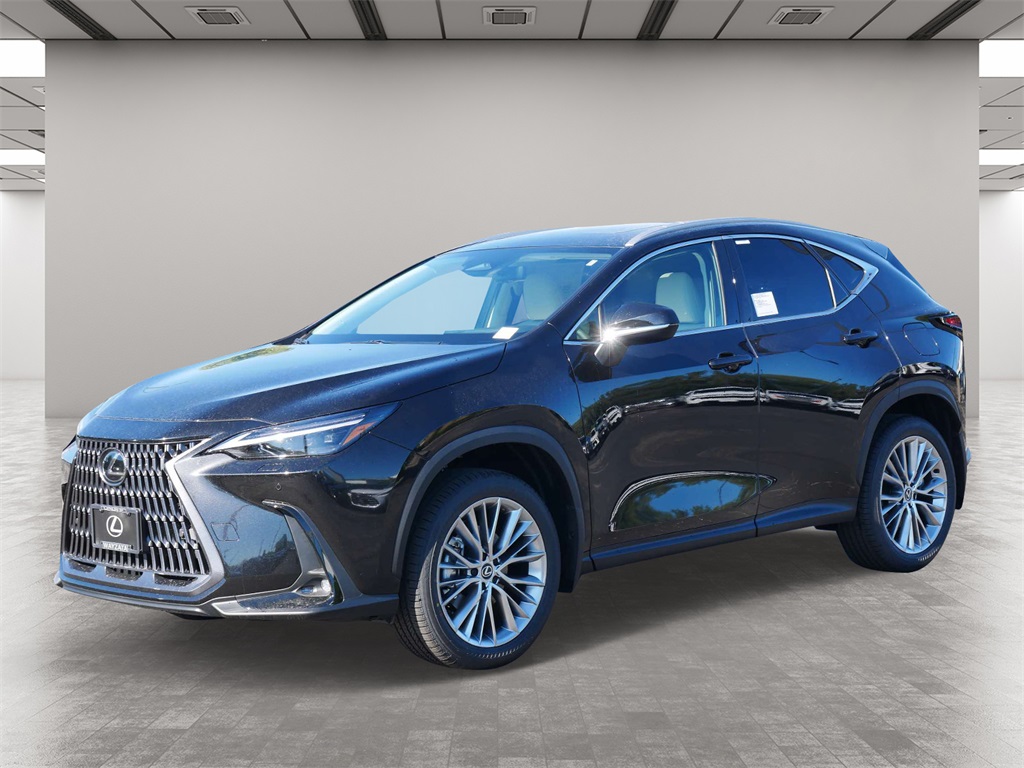 2025 Lexus NX 350 Luxury 2