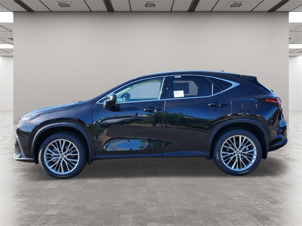 2025 Lexus NX 350 Luxury 3