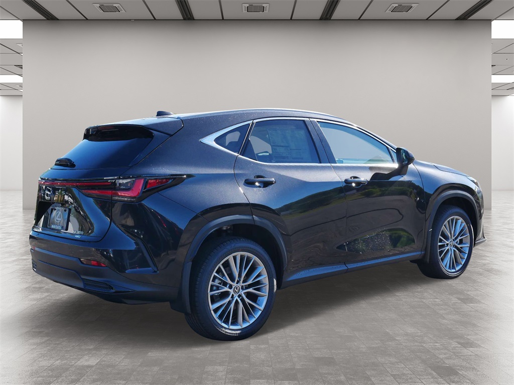 2025 Lexus NX 350 Luxury 5