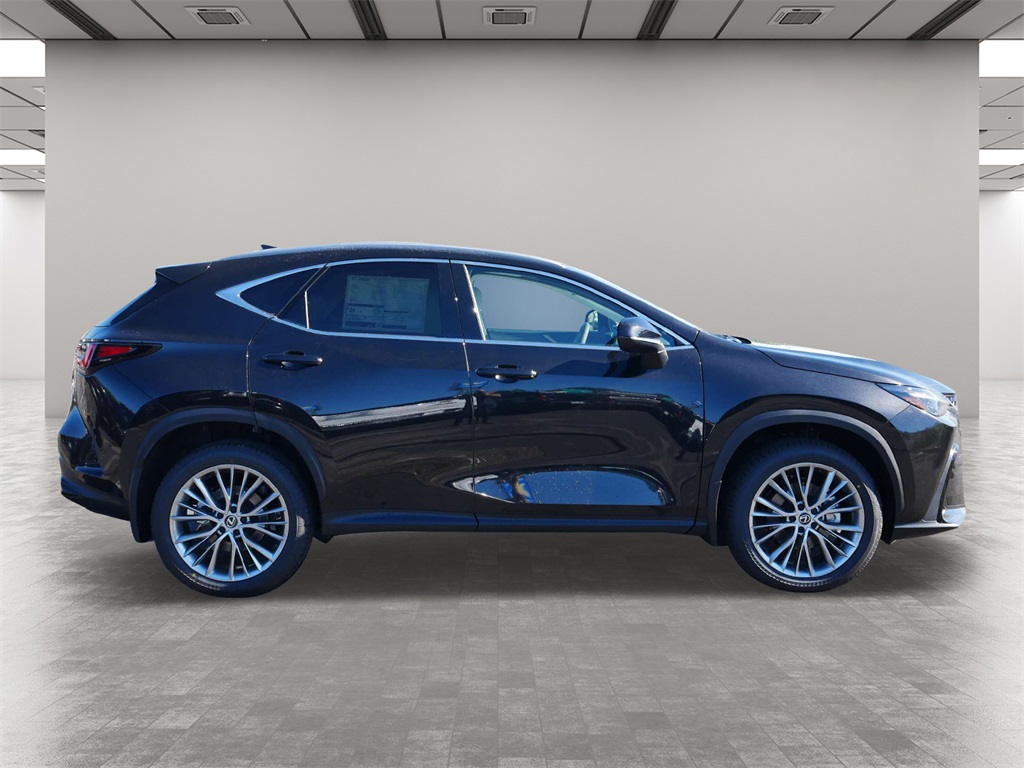 2025 Lexus NX 350 Luxury 6