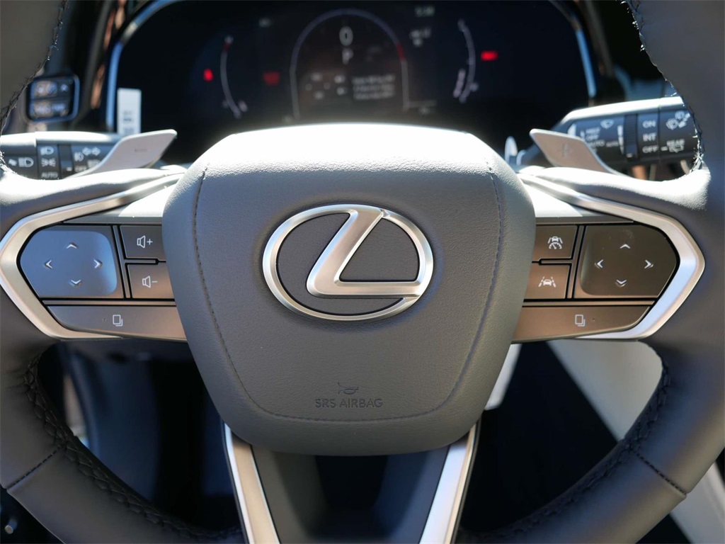 2025 Lexus NX 350 Luxury 17