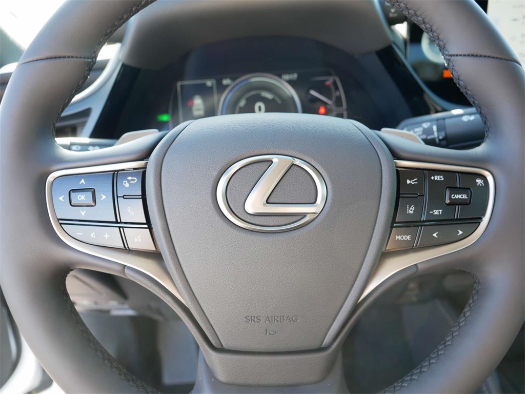 2025 Lexus ES 300h Luxury 17