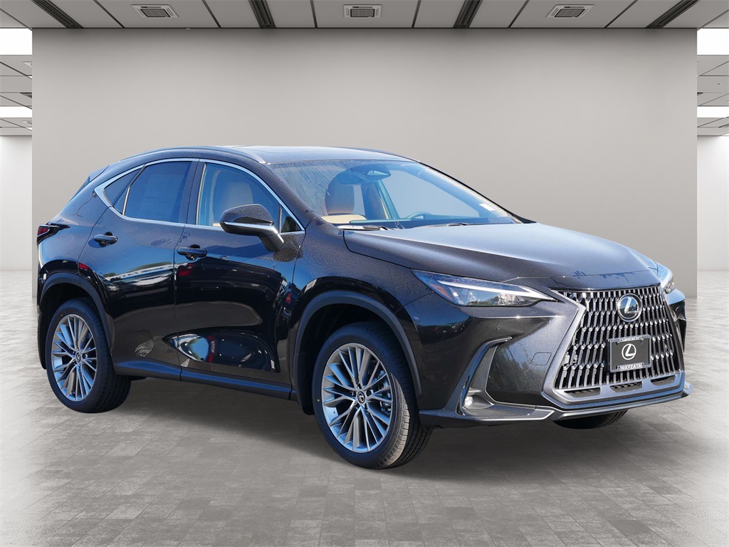 2025 Lexus NX 350 Premium 1