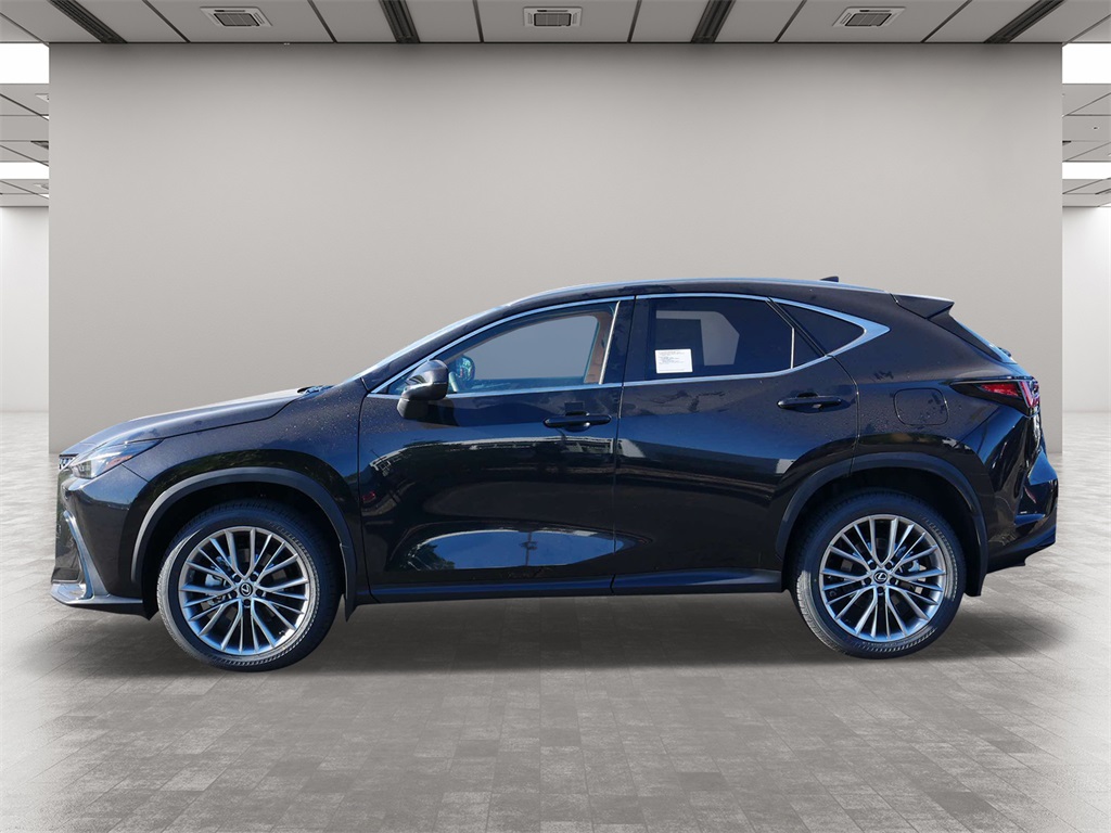 2025 Lexus NX 350 Premium 3