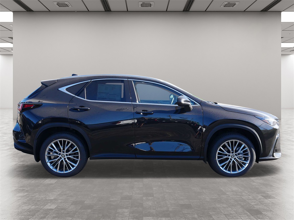 2025 Lexus NX 350 Premium 6