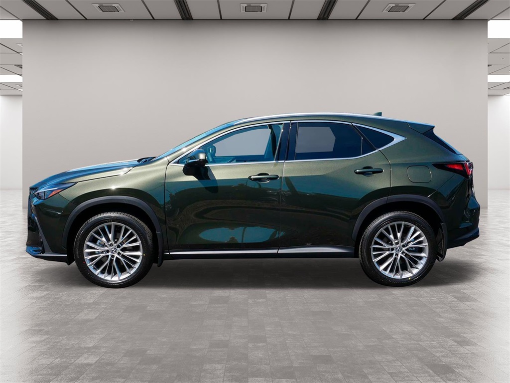 2025 Lexus NX 350h Premium 3