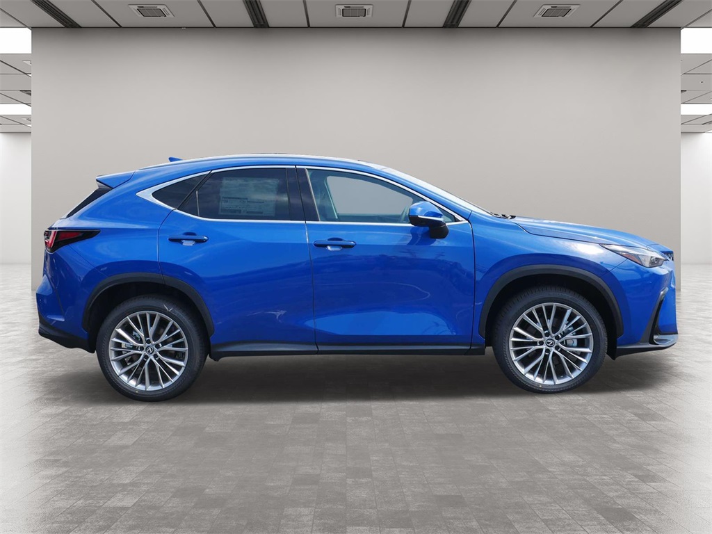 2025 Lexus NX 350h Premium 6