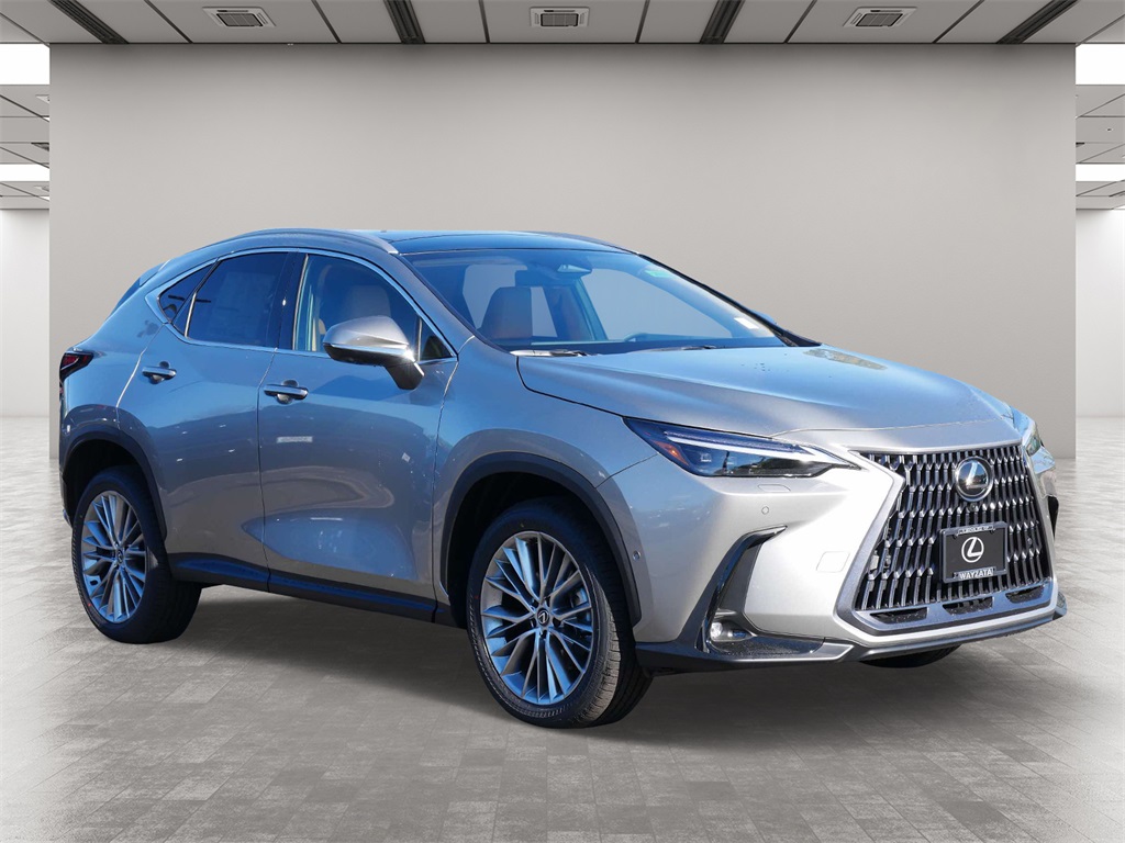 2025 Lexus NX 350 Luxury 1