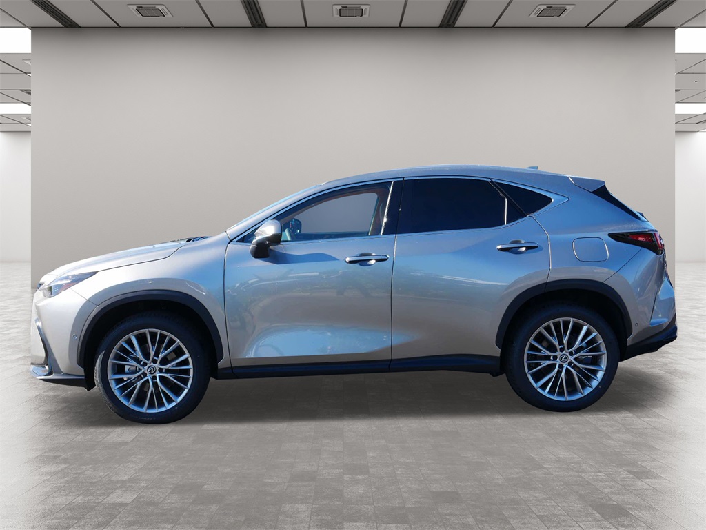 2025 Lexus NX 350 Luxury 3