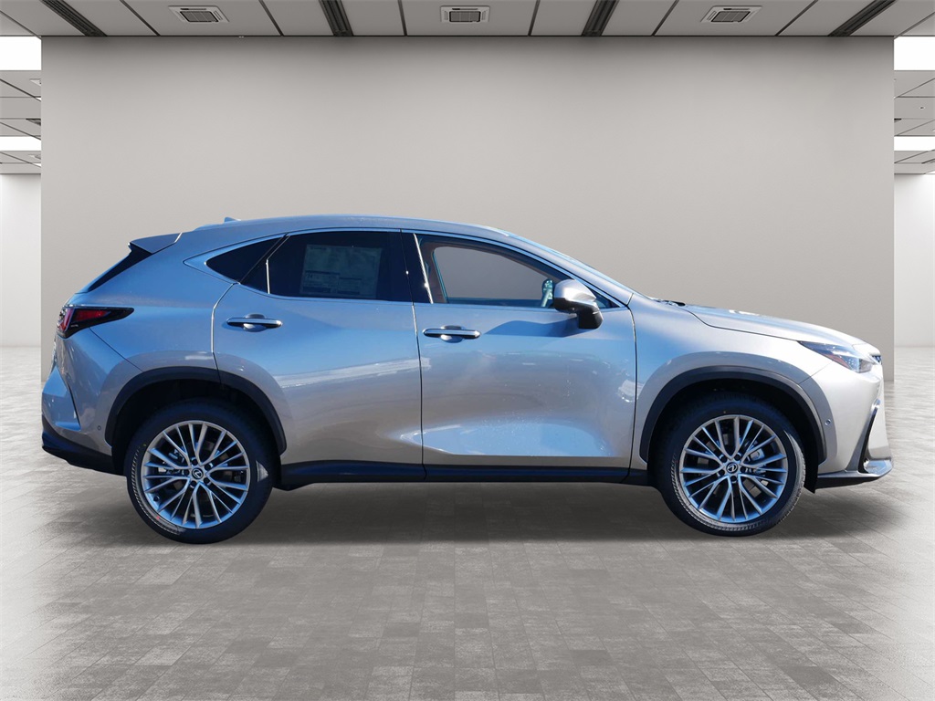 2025 Lexus NX 350 Luxury 6