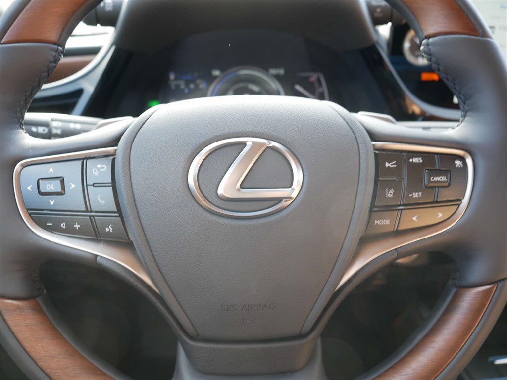 2025 Lexus ES 300h Luxury 16