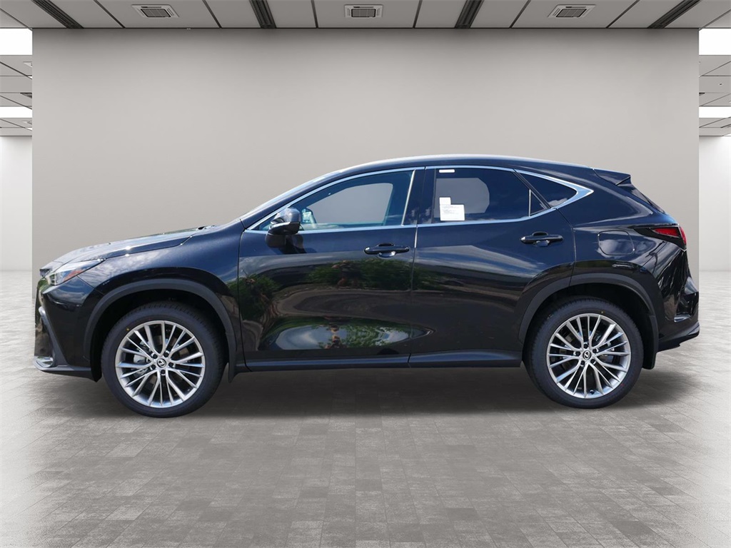 2025 Lexus NX 350h Premium 3