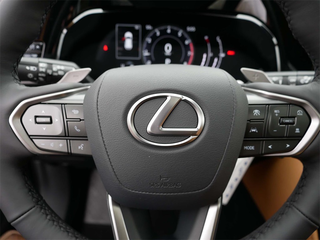 2025 Lexus NX 350 Premium 17