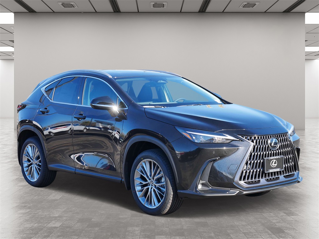 2025 Lexus NX 350 Premium 1