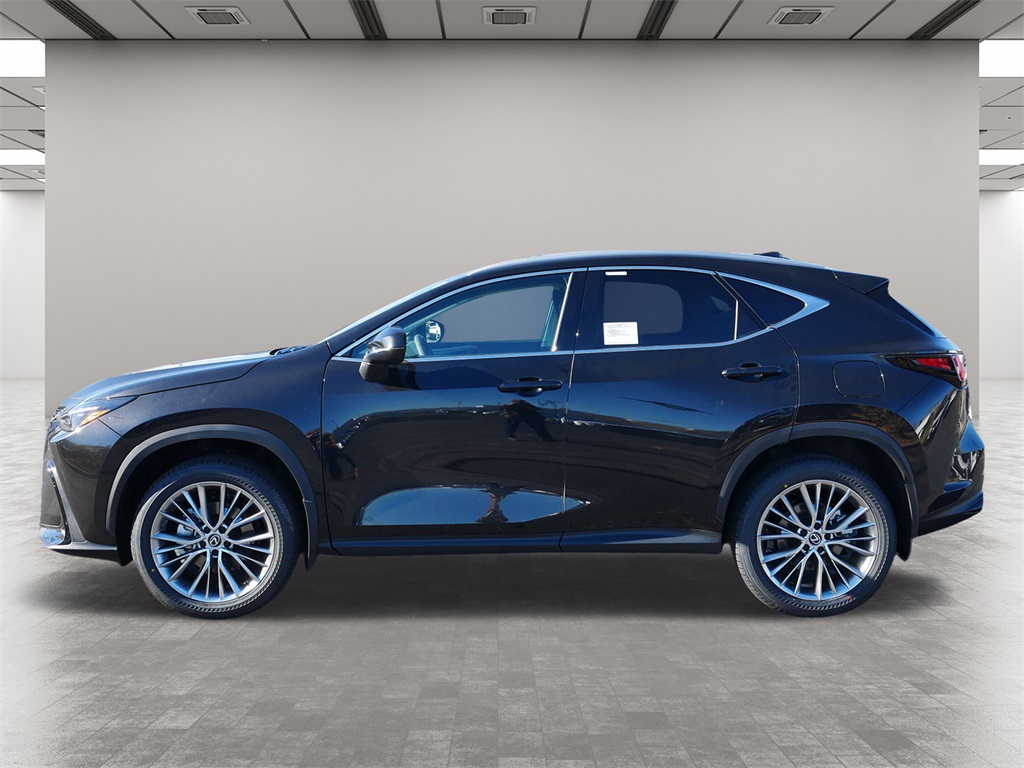 2025 Lexus NX 350 Premium 3