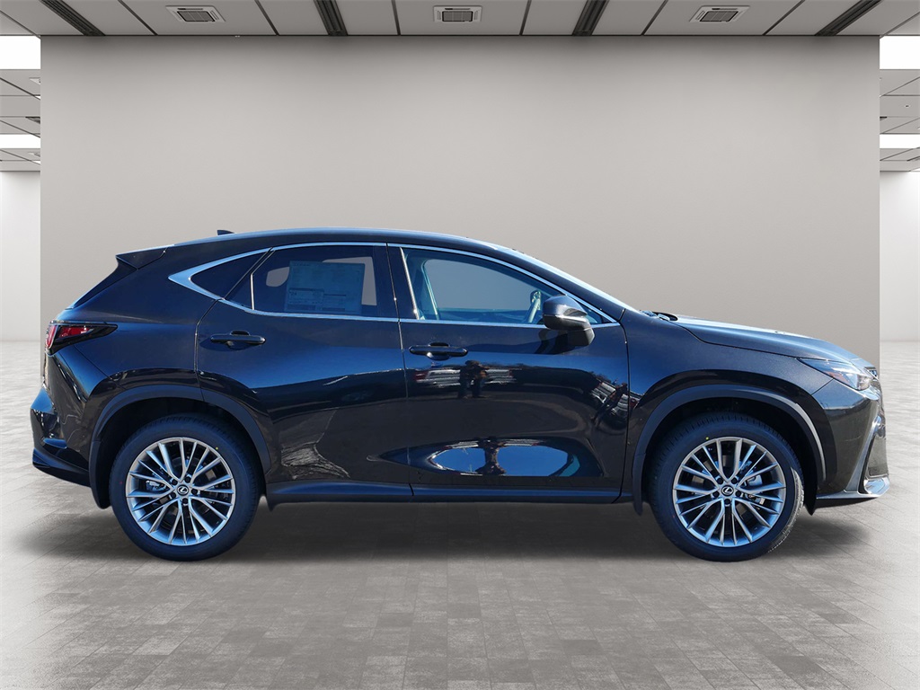 2025 Lexus NX 350 Premium 6