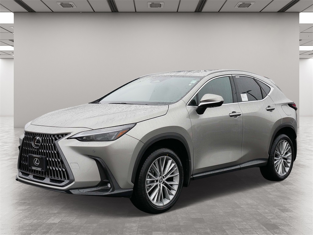 2025 Lexus NX 350h Premium 2