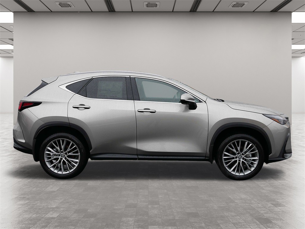 2025 Lexus NX 350h Premium 6