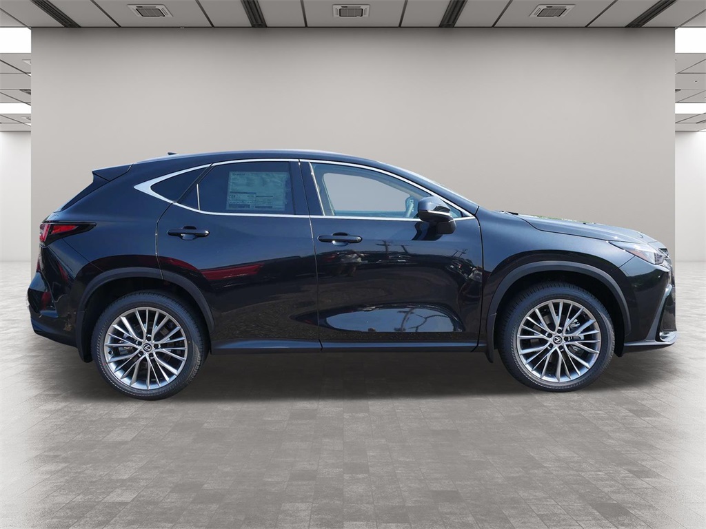 2025 Lexus NX 350 Premium 6