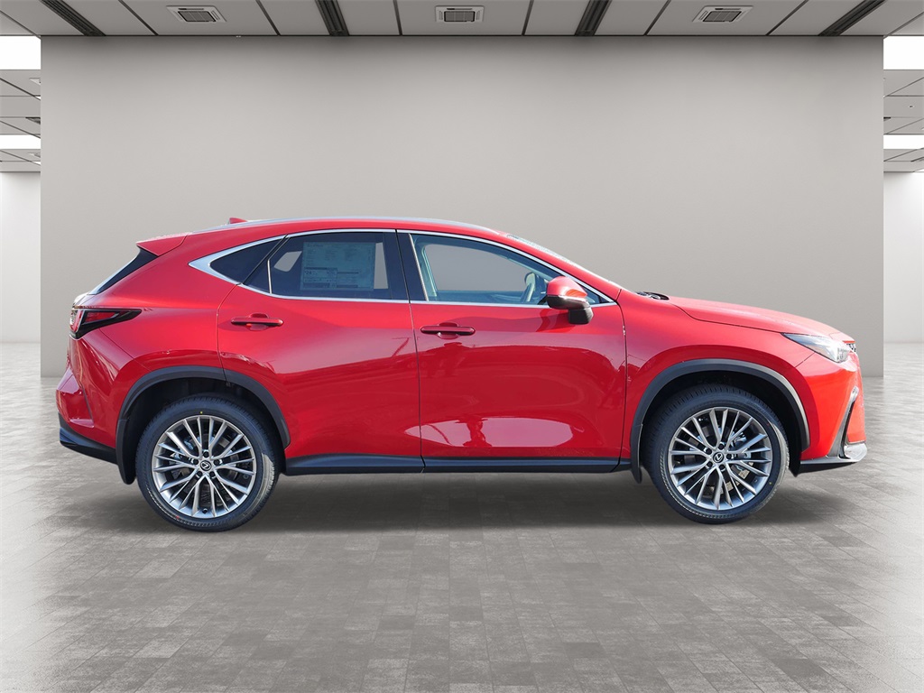 2025 Lexus NX 350 Premium 6