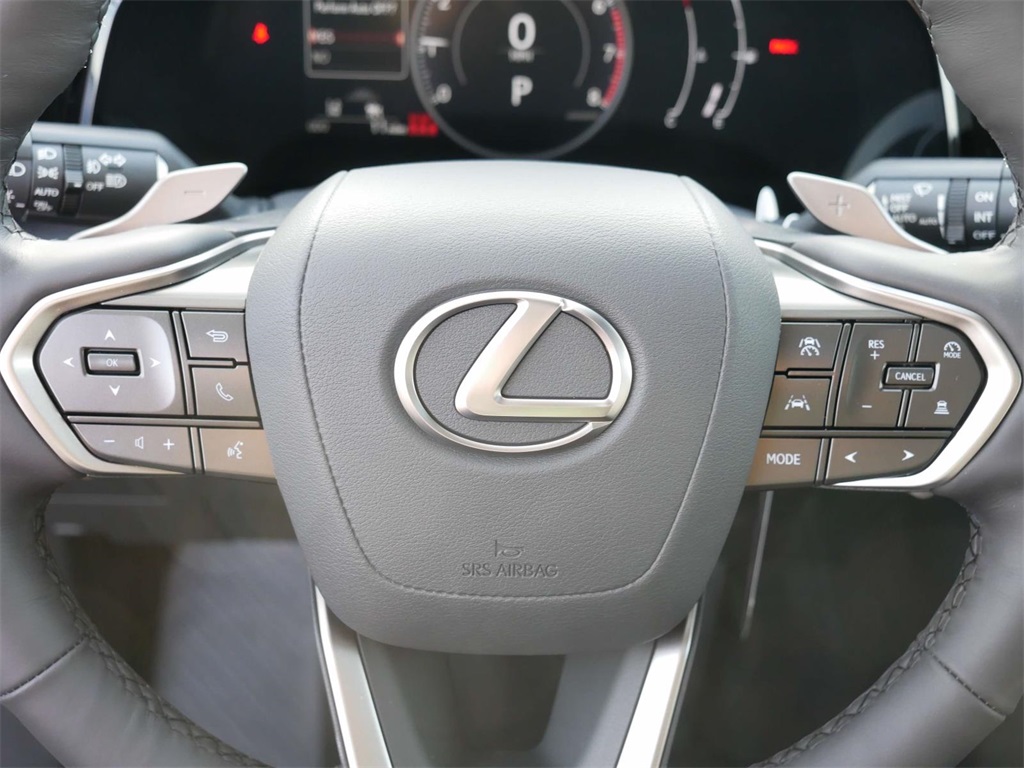 2025 Lexus NX 350 Premium 17