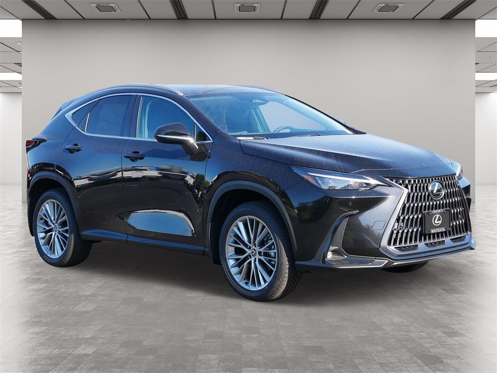 2025 Lexus NX 350 Premium 1