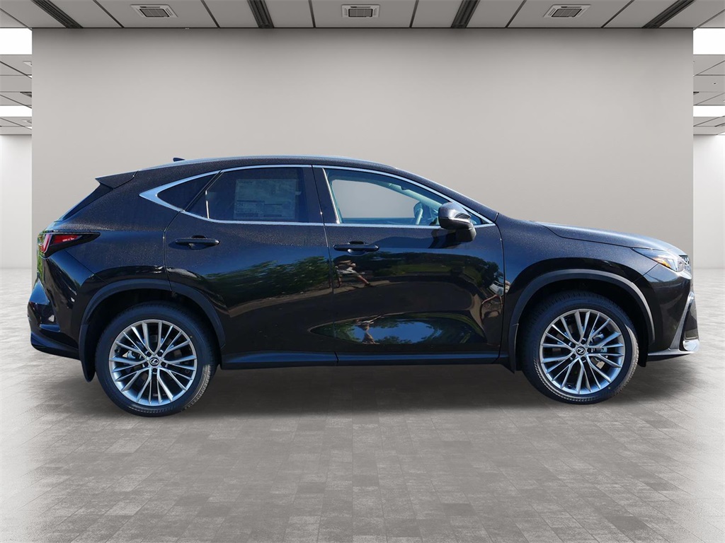 2025 Lexus NX 350 Premium 6