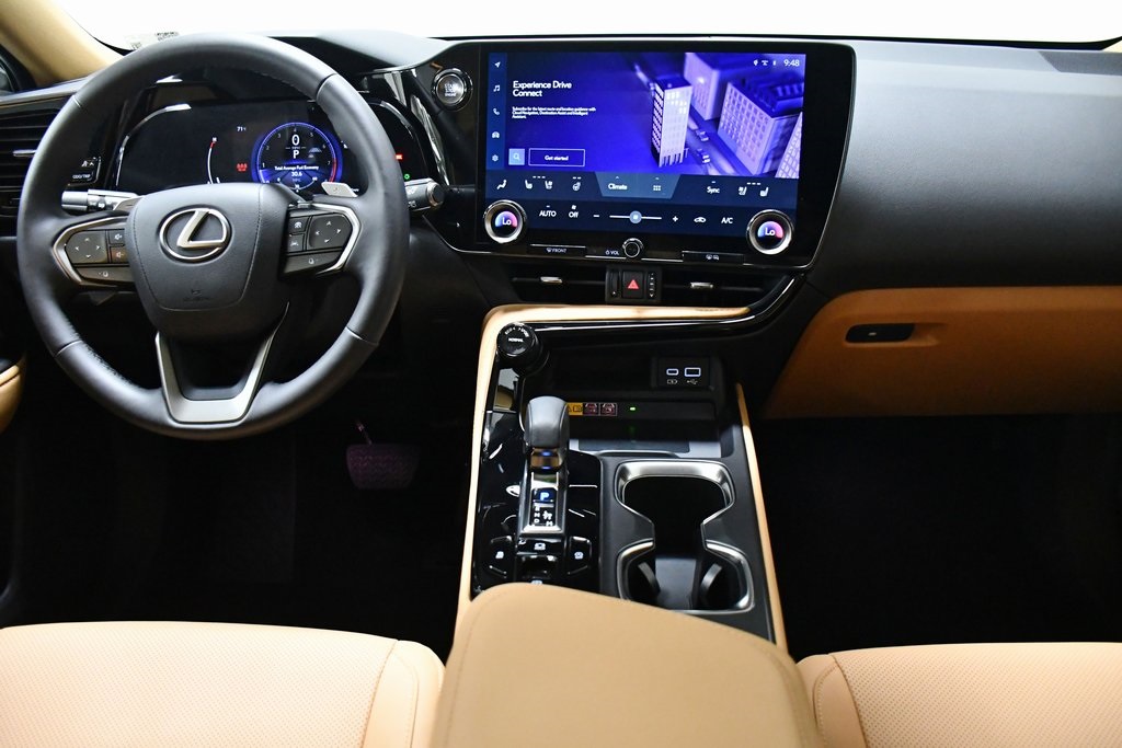 2024 Lexus NX 250 Premium 19