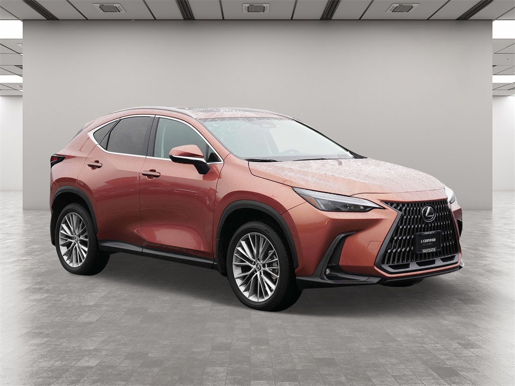 2025 Lexus NX 350 Premium 1