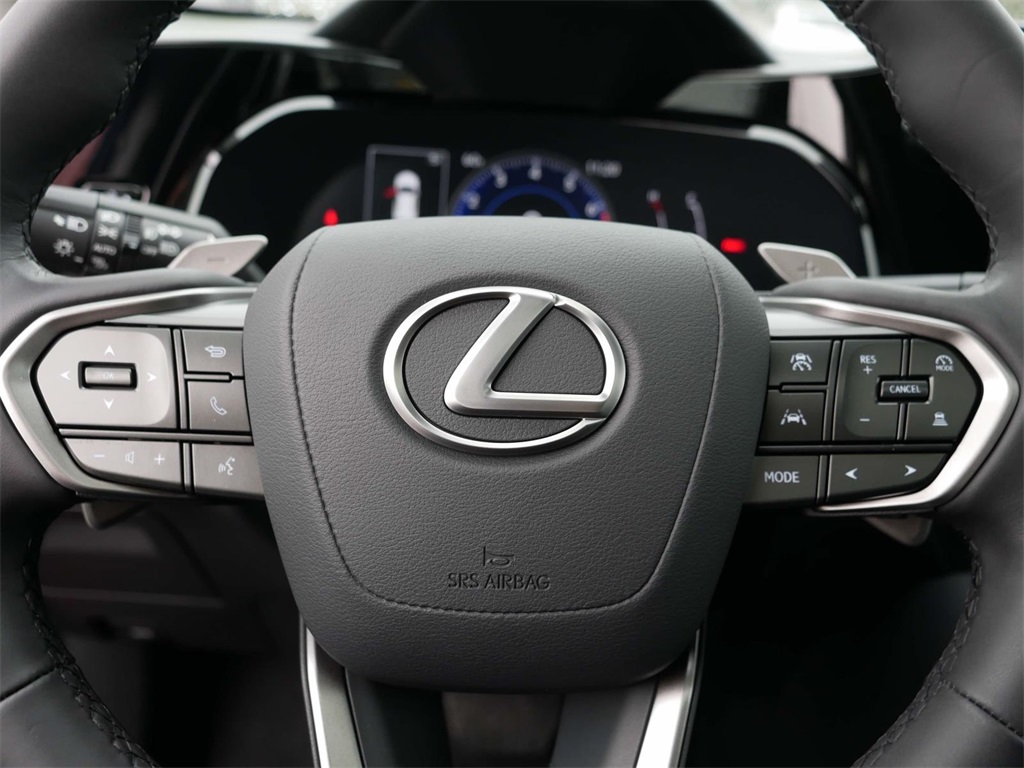 2025 Lexus NX 350 Premium 17