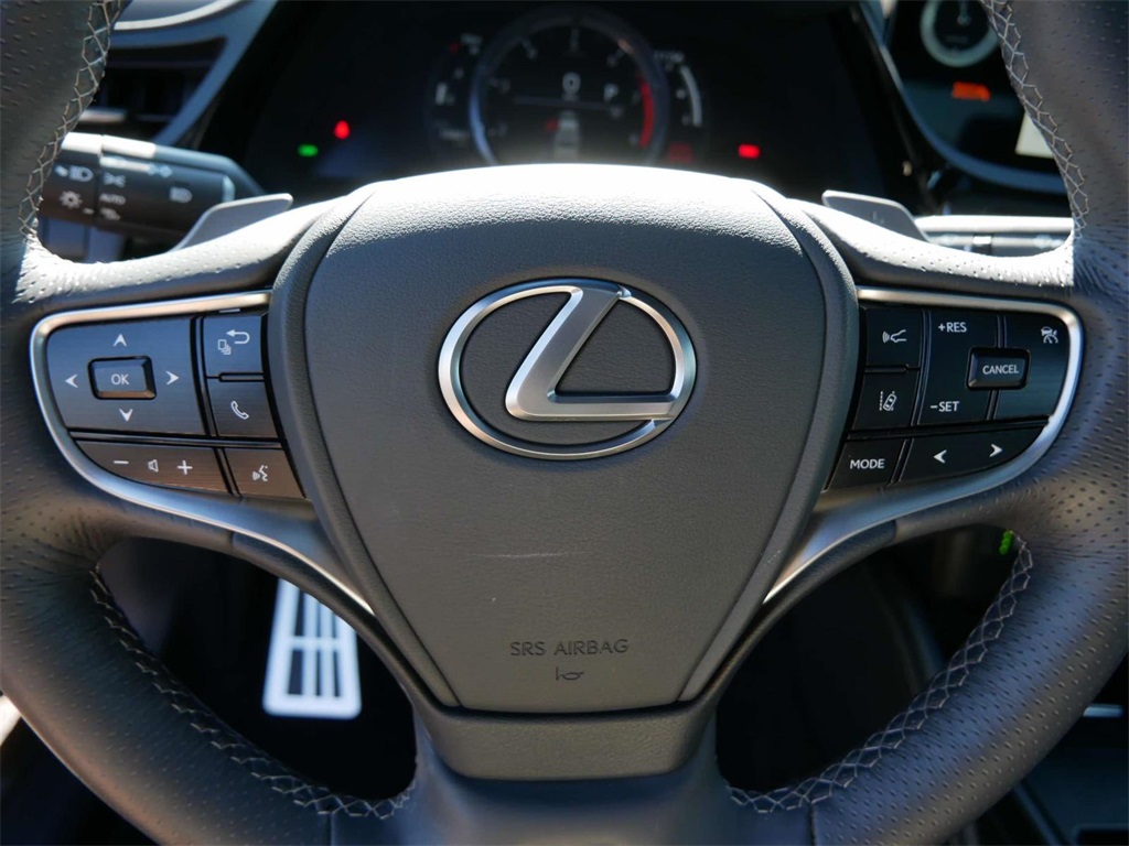 2023 Lexus ES 350 F Sport 17